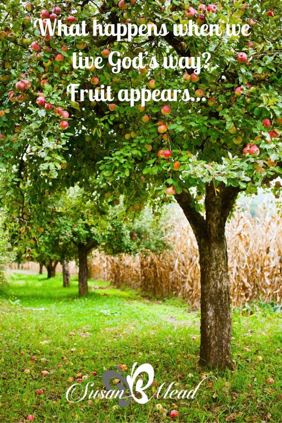 What happens when we live God's way? Fruit appears...