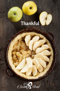 Giving thanks. Have you ever forgotten to be thankful? This post contains 5 scripture versus reminding us of the power of giving thanks to God.